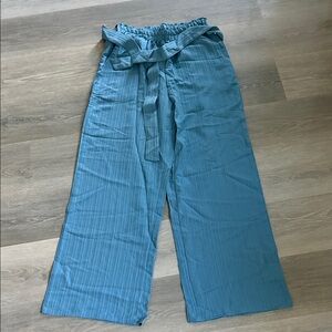 SHEIN Light Blue Pants